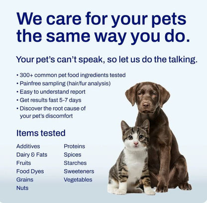 Pet Raw Food Intolerance Test